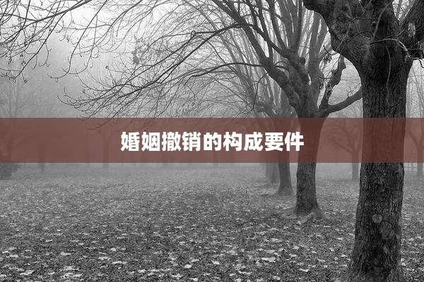 婚姻撤销的构成要件