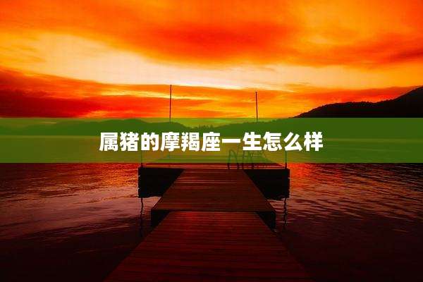 属猪的摩羯座一生怎么样