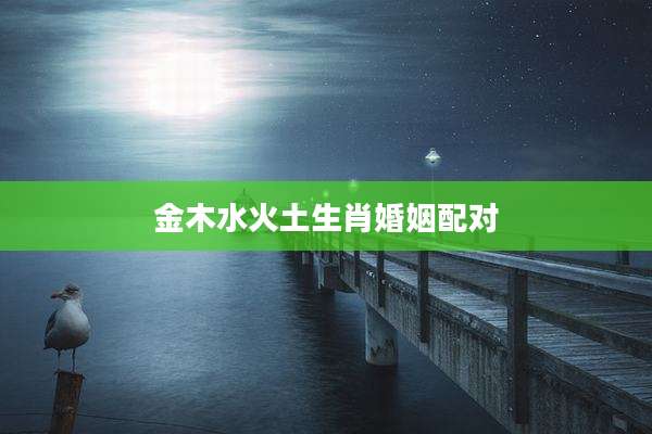 金木水火土生肖婚姻配对