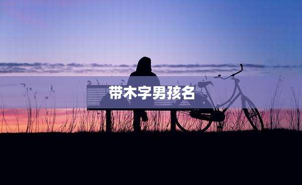 带木字男孩名