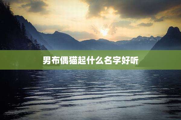 男布偶猫起什么名字好听