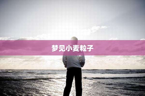 梦见小麦粒子