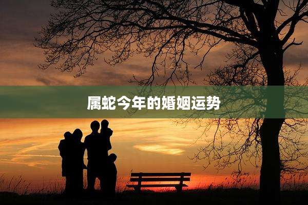 属蛇今年的婚姻运势