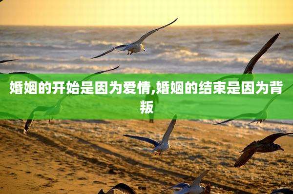 婚姻的开始是因为爱情,婚姻的结束是因为背叛