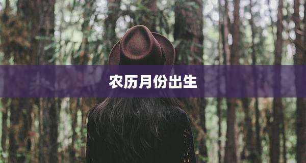 农历月份出生