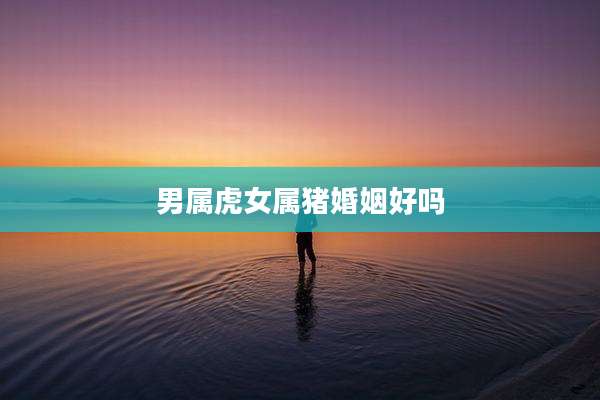 男属虎女属猪婚姻好吗