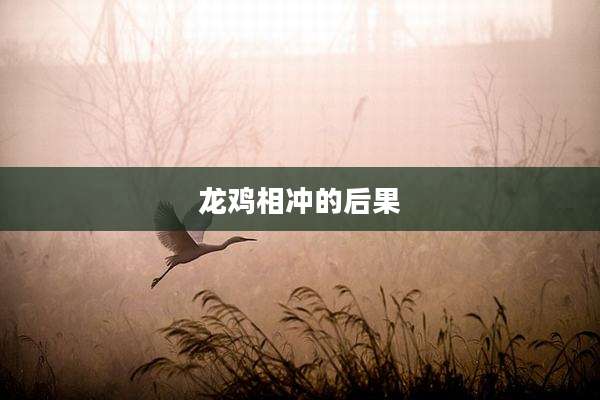 龙鸡相冲的后果