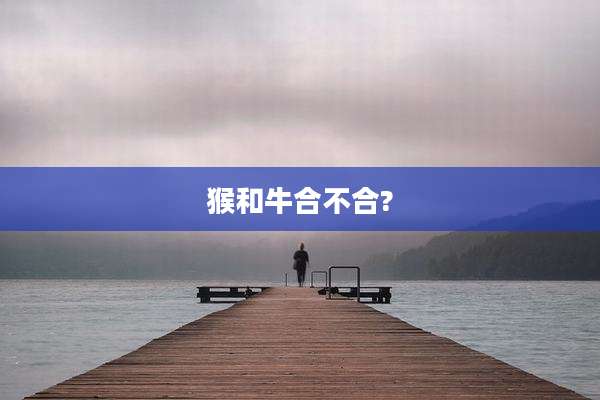 猴和牛合不合?