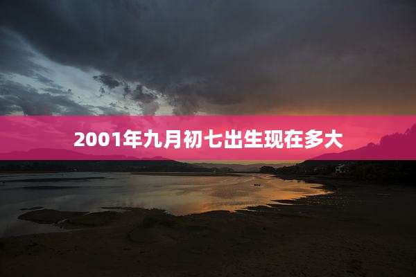 2001年九月初七出生现在多大