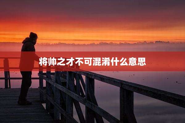 将帅之才不可混淆什么意思