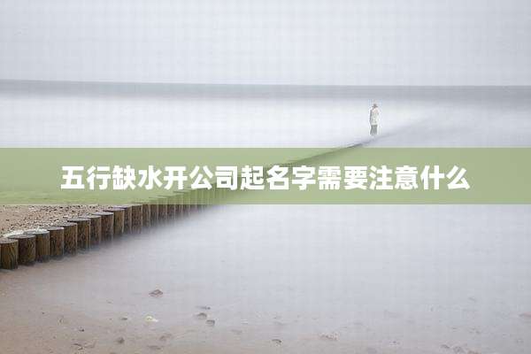 五行缺水开公司起名字需要注意什么