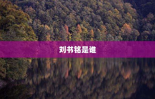 刘书铭是谁