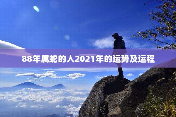 88年属蛇的人2021年的运势及运程
