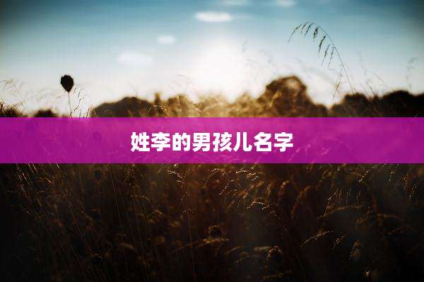 姓李的男孩儿名字