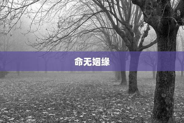 命无姻缘