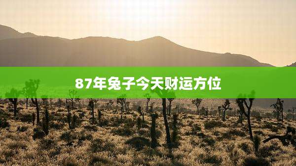 87年兔子今天财运方位