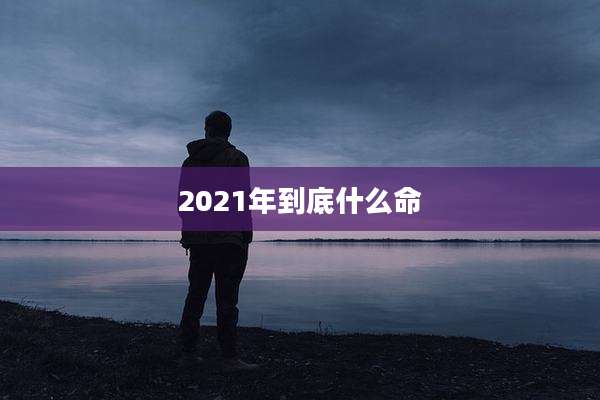 2021年到底什么命