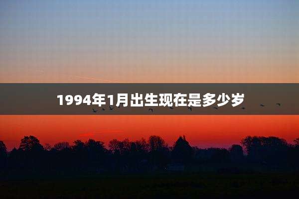 1994年1月出生现在是多少岁