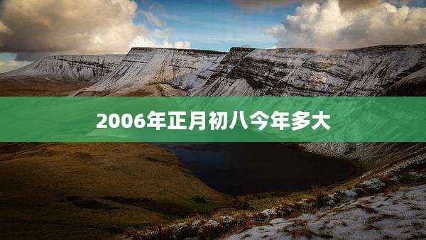 2006年正月初八今年多大