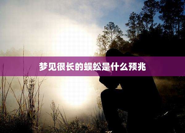 梦见很长的蜈蚣是什么预兆