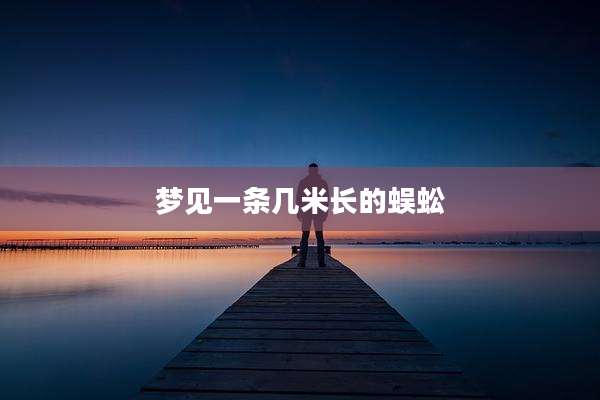梦见一条几米长的蜈蚣