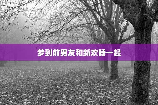 梦到前男友和新欢睡一起