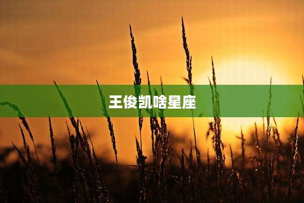 王俊凯啥星座