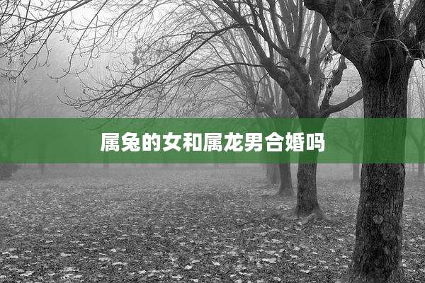 属兔的女和属龙男合婚吗