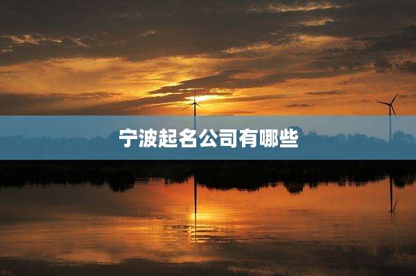 宁波起名公司有哪些