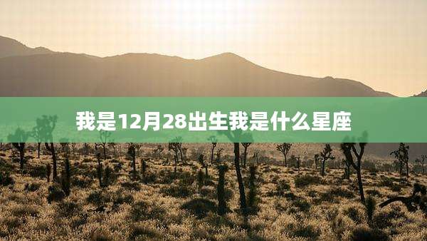 我是12月28出生我是什么星座