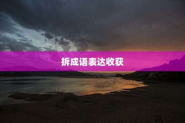 拆成语表达收获