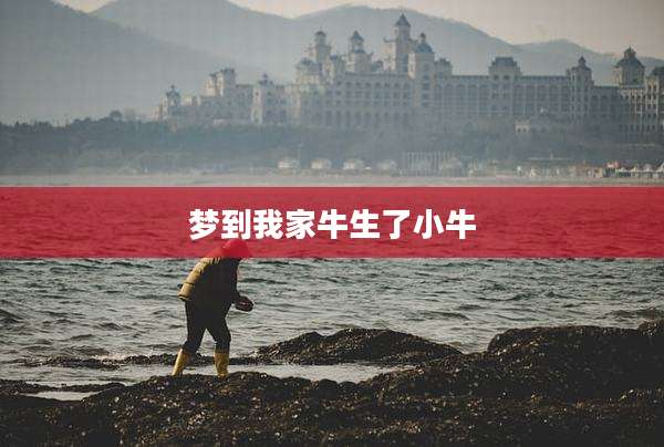 梦到我家牛生了小牛