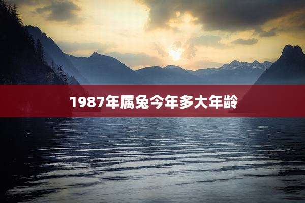 1987年属兔今年多大年龄