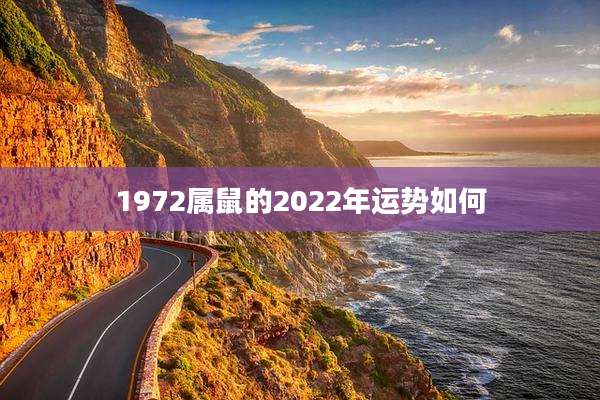 1972属鼠的2022年运势如何