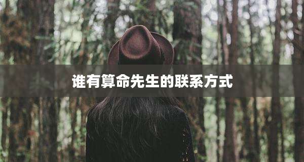 谁有算命先生的联系方式