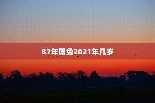 87年属兔2021年几岁