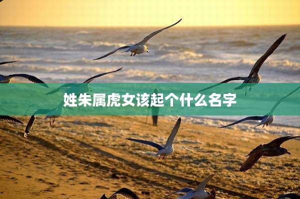 姓朱属虎女该起个什么名字