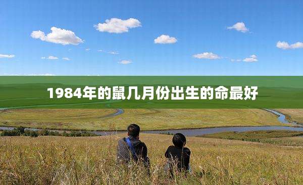 1984年的鼠几月份出生的命最好