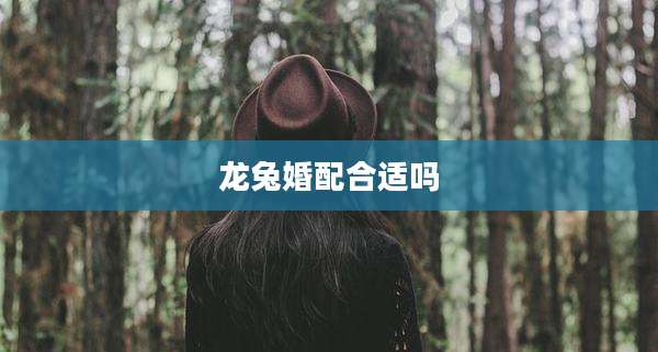 龙兔婚配合适吗