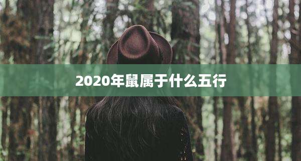 2020年鼠属于什么五行