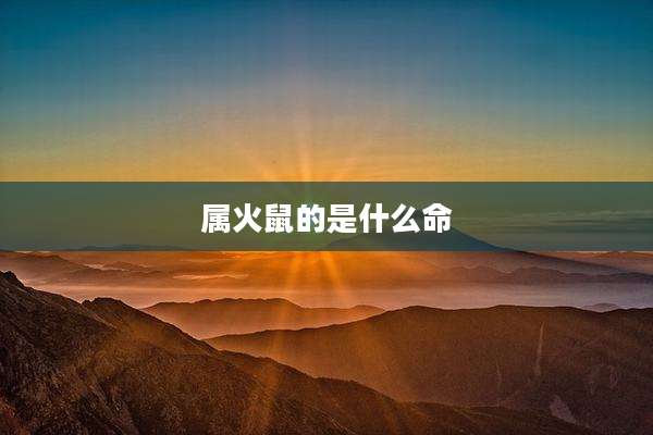 属火鼠的是什么命