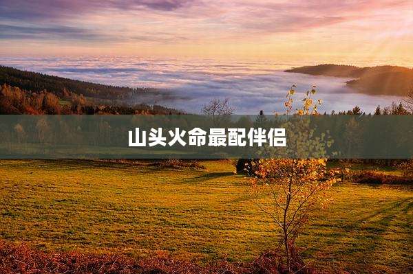 山头火命最配伴侣