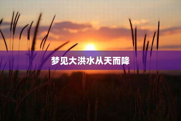 梦见大洪水从天而降