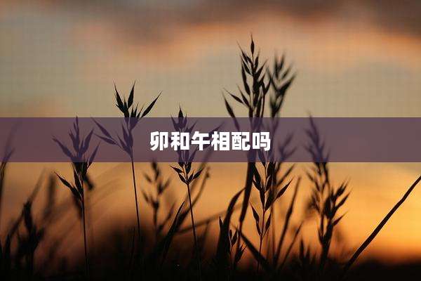 卯和午相配吗