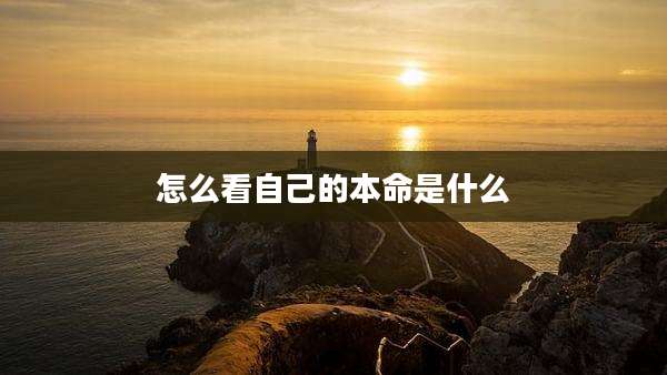 怎么看自己的本命是什么