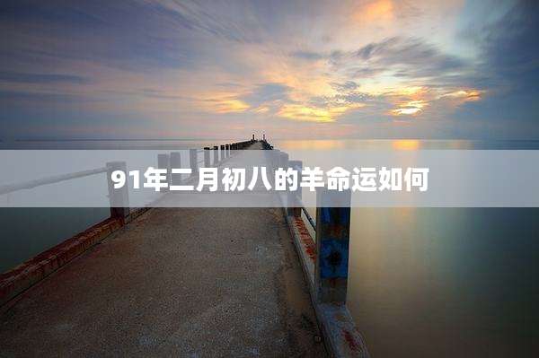 91年二月初八的羊命运如何
