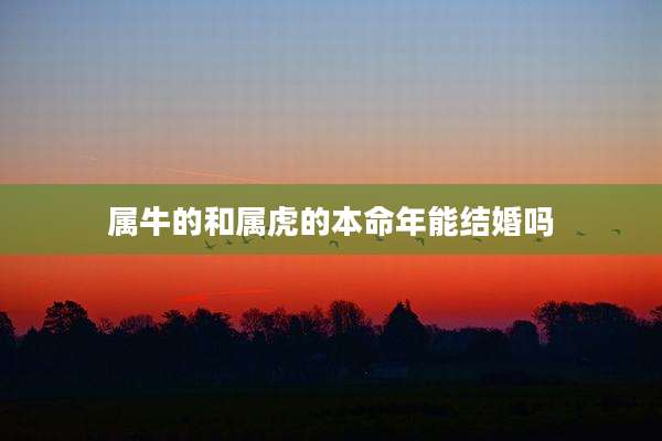 属牛的和属虎的本命年能结婚吗