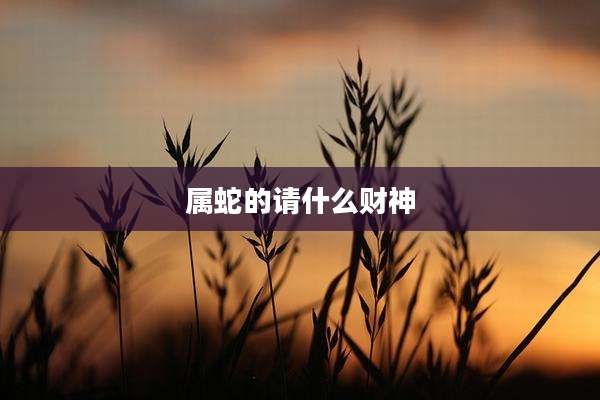属蛇的请什么财神