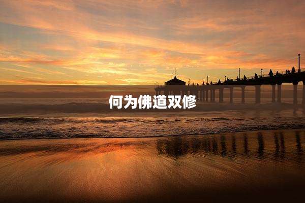 何为佛道双修