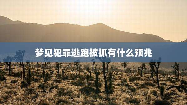 梦见犯罪逃跑被抓有什么预兆